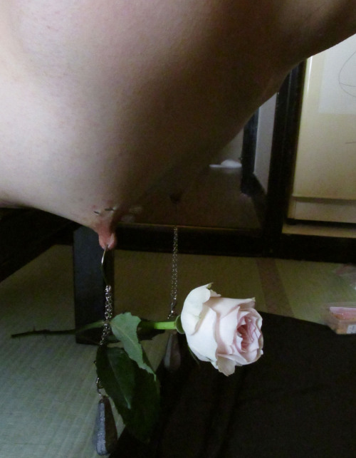 Sex koto-bdsm:  27th September 2014  pictures