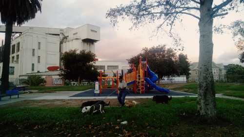 west oakland playgrounds at dusk.