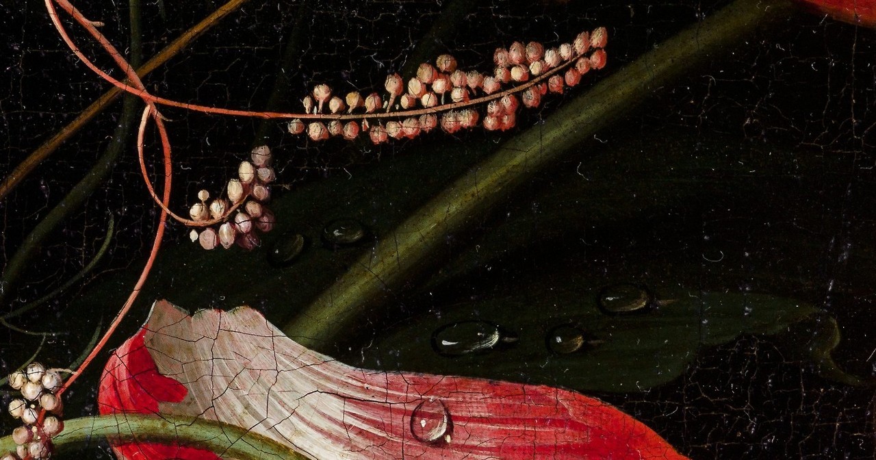 trulyvincent: Abraham Mignon, details from A Cat knocking over a vase of flowers,