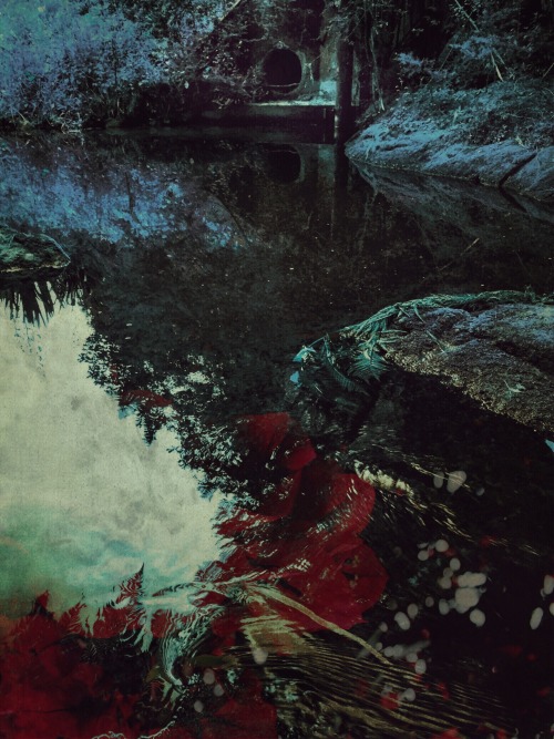 ‘Upstream From The Falls’Artist: 0pheli0 Date: 20150pheli0.tumblr.com/archive