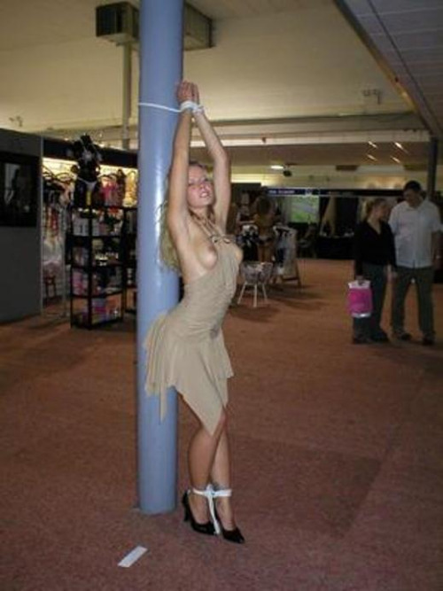 archive-of-blogs:Pole Tied - Walking