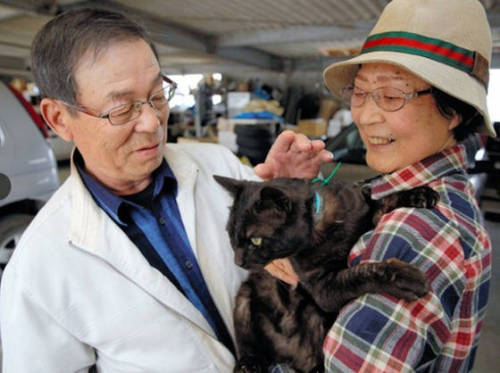 catsbeaversandducks:Cat Missing Since Japan Tsunami Reunited With Family After Three YearsA cat that