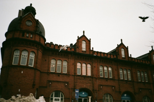 englishsnow:  Jane Grigoryeva 