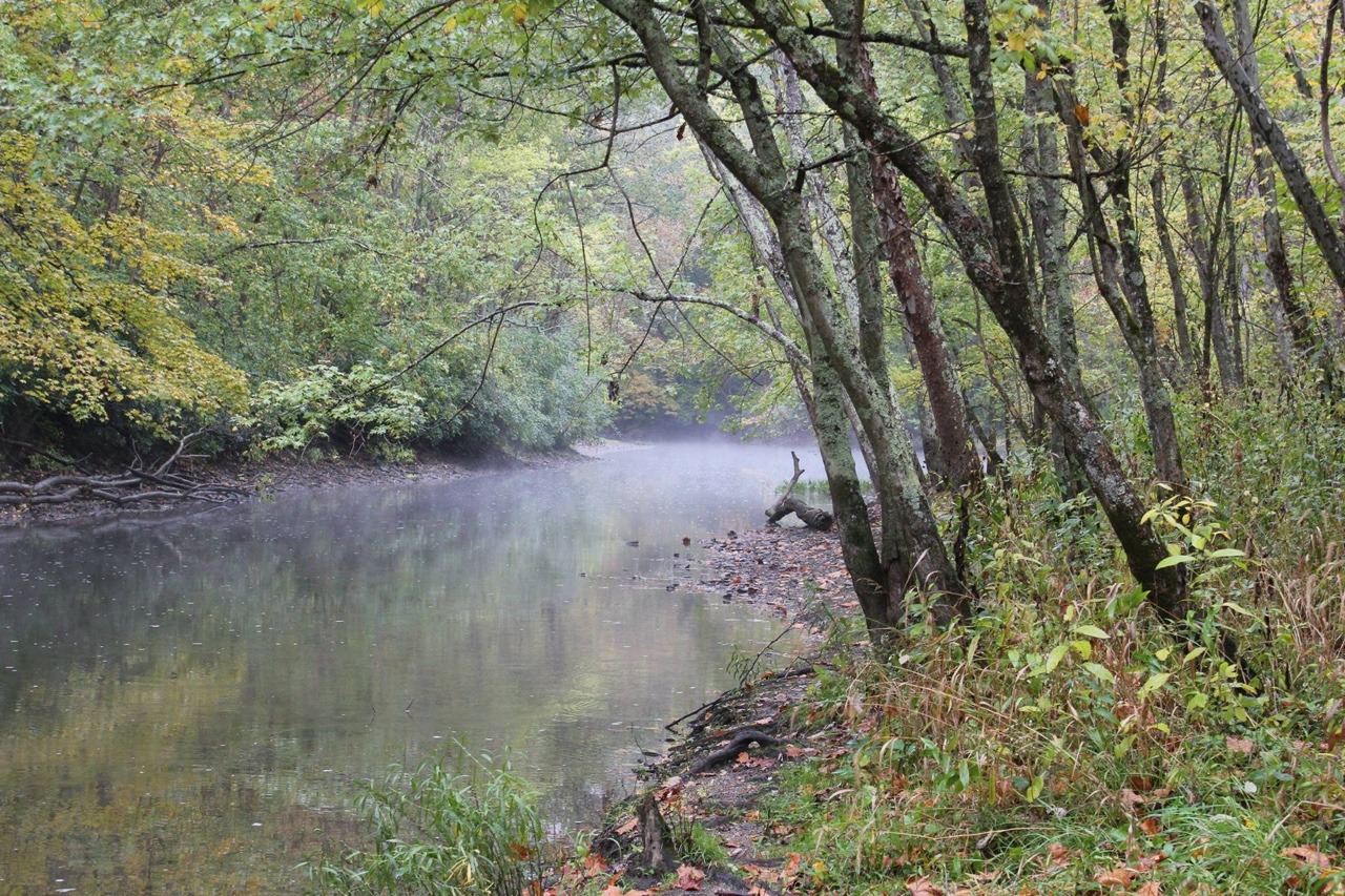 I took this, this past Thursday, with my Canon Rebel. This was at a bend in the river