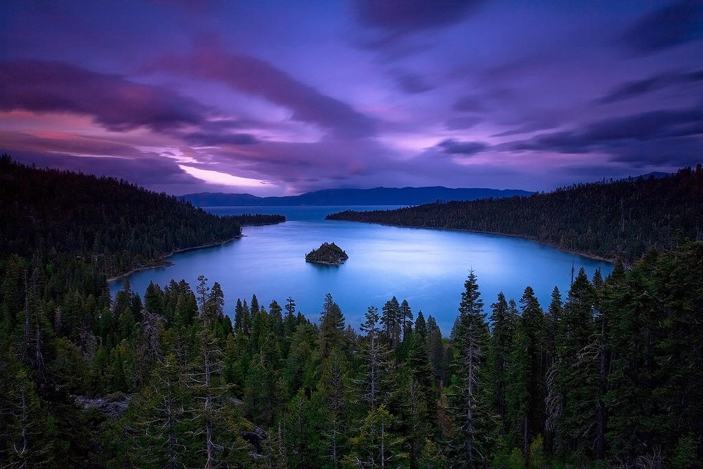 owakolf:  Nature Blog ▲Follow ninepulse for interesting, amazing, informative
