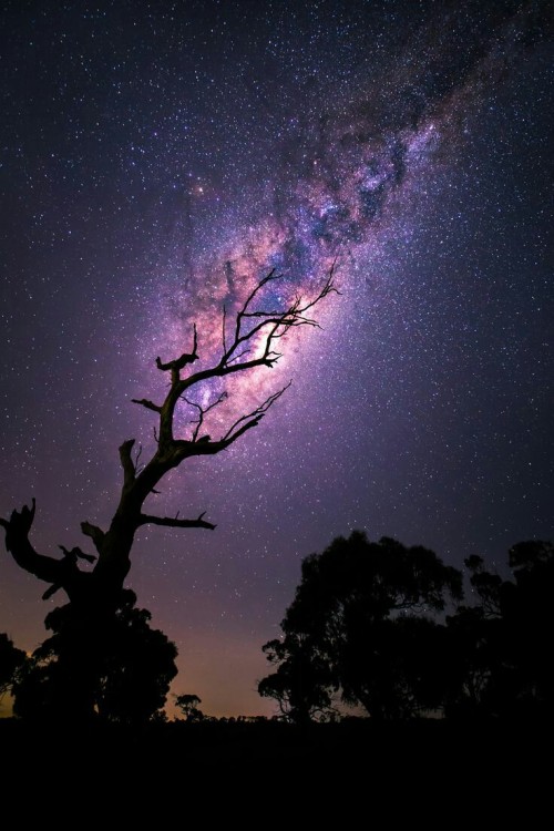 Rising Milky Way By Tim Wood On 500px