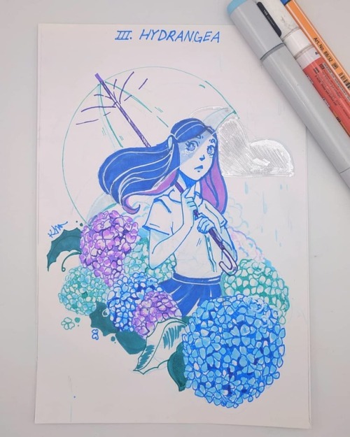 #inktober Day 3: Hydrangea! A sun-shy flower - the blue and purple colors symbolize apologies and de