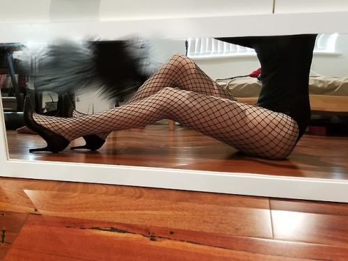 leotard and fishnet