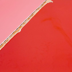 sonjabarbaric:  Steve Back, Hutt Lagoon 