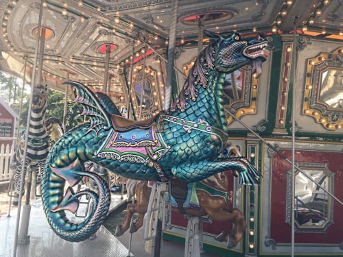 hoar-frosted-demon:  dixiewitch:  Sea dragon carousel horse in Florida Photo by Dixiewitch  We had this same carousel when I was little and that sea dragon was ridiculously popular. 