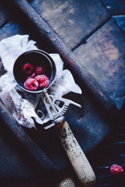 senerii:  Raspberries by cajas666 on Flickr. 