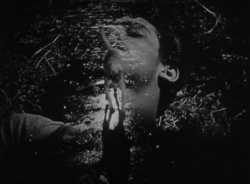 365filmsbyauroranocte:   Los olvidados (Luis Buñuel, 1950)   