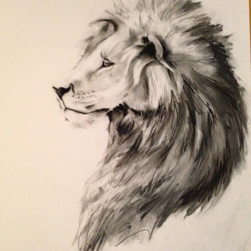 Just Finished, After An Hour And A Half Straight! I Made This For The Pre-show Of A Ballet#lion #charcoal