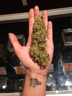 theganjatrain:  amandank:Super Lemon Haze