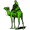 kvadosh: