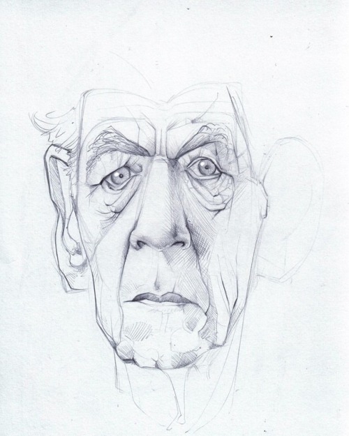 iddogoldfarb:Sir Gandalf.....#ianmckellen #art #drawing #illustration #face #portrait #sketch #penci