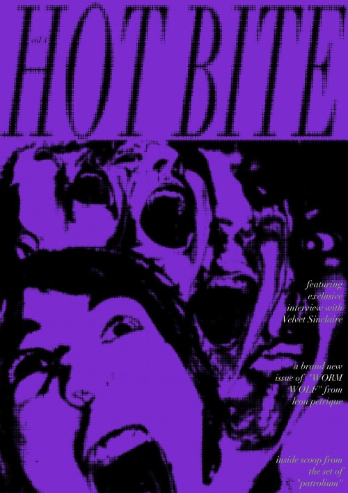 Fake Magazine Covers I Made For Graphics Class, I Like To Imagine That It Would Be About Obscure Artists