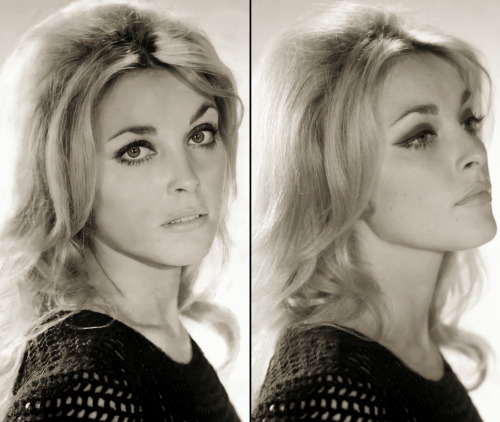  Sharon Tate photographed by Pierluigi Praturlon for MGM Studios & Filmways 1965 