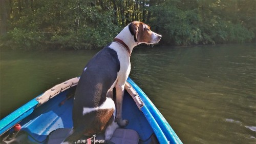 It is hard to beat kayak fishing with the pup