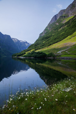 d-vn:  Nærøyfjorden, Norway. (by Bhalalhaika)