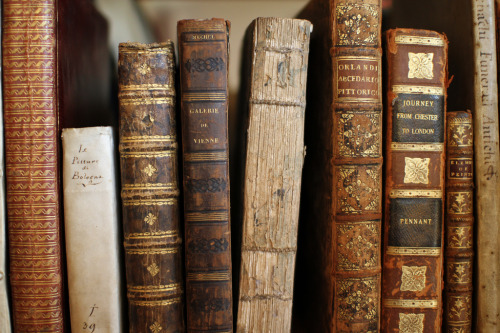 kknotted: Vintage Book Store 01 (by Coultl)