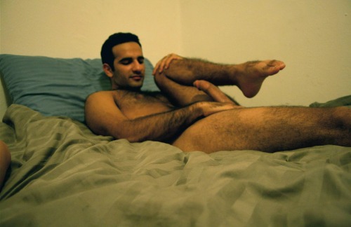 Latino Lover