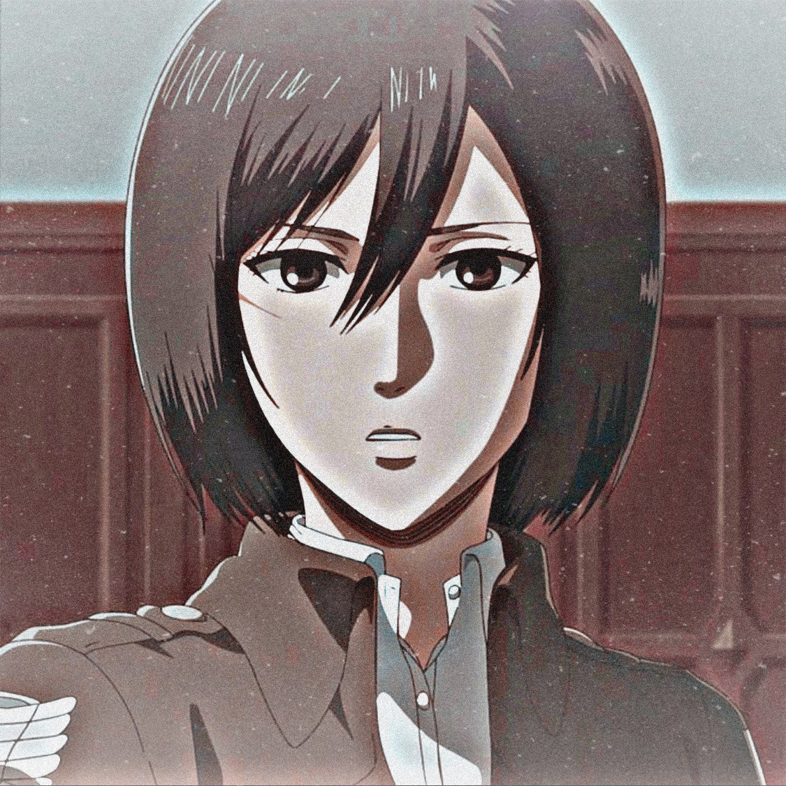 mikasa ackerman profile