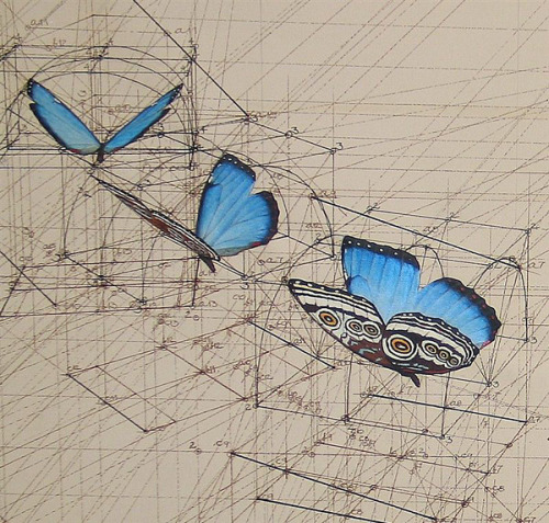 Complex Works Of The Venezuelan Artist Rafael Araujo