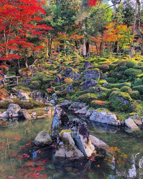 西明寺本坊庭園 [ 滋賀県甲良町 ] ② Saimyo-ji Temple Honbo Garden, Koura, Shiga ーー紅葉の名所 #湖東三山 の国宝第一号の寺院に残る、 #望月友閑 が