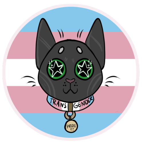 LGBT PRIDE CAT STICKERS -GAY, LESBIAN, BISEXUAL, PANSEXUAL, TRANSGENDER, NONBINARY + ASEXUAL DESIGNS