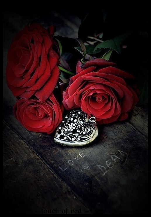 dollysgothworld:  (¯`·.(¯`·.(¯`♥ touch of red ♥´¯).·´¯).·´¯)