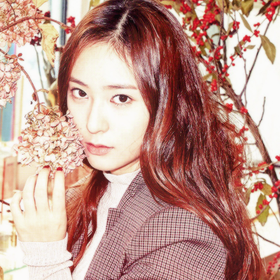 Krystal Icons.