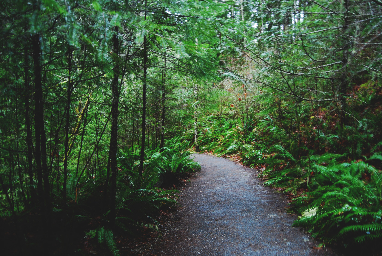 tuaari:  Sooke Potholes - January 2016