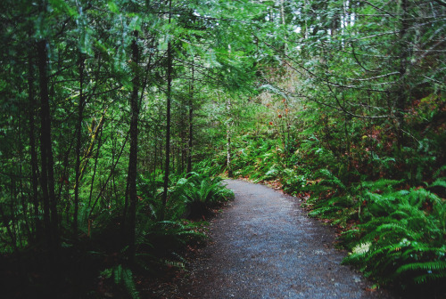 Sex tuaari:  Sooke Potholes - January 2016 pictures