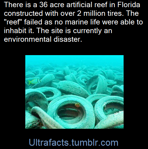 ultrafacts:It is called the Osborne Reef, located off the coast of Fort Lauderdale, Florida. In the 1970s, the reef was the subject of an ambitious expansion project utilizing old and discarded tires. The project ultimately failed, and the “reef”