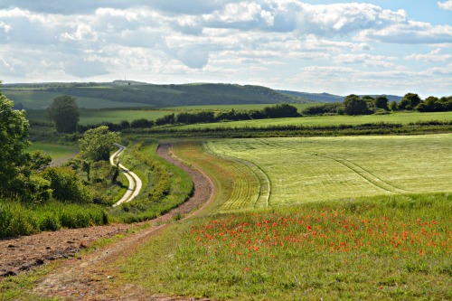 153/36518km from Arundel to Amberley, West Sussex, England.