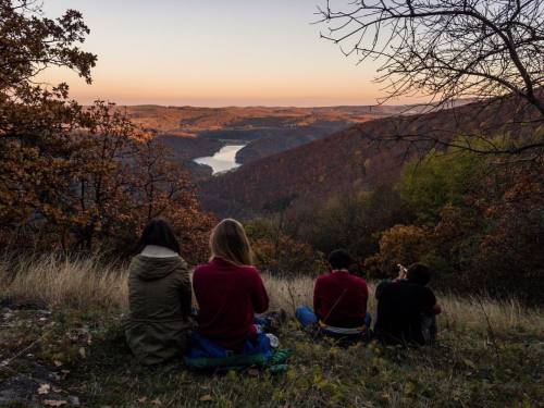 #hiking #forest #lightroommobile #mik #friends #hungary #countryside #autumn #fall #colors #leaves #