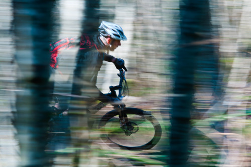 ericmickelson:  A blur in the forest.  Galbraith Mountain, Bellingham, Washington.  March 2013.  © E