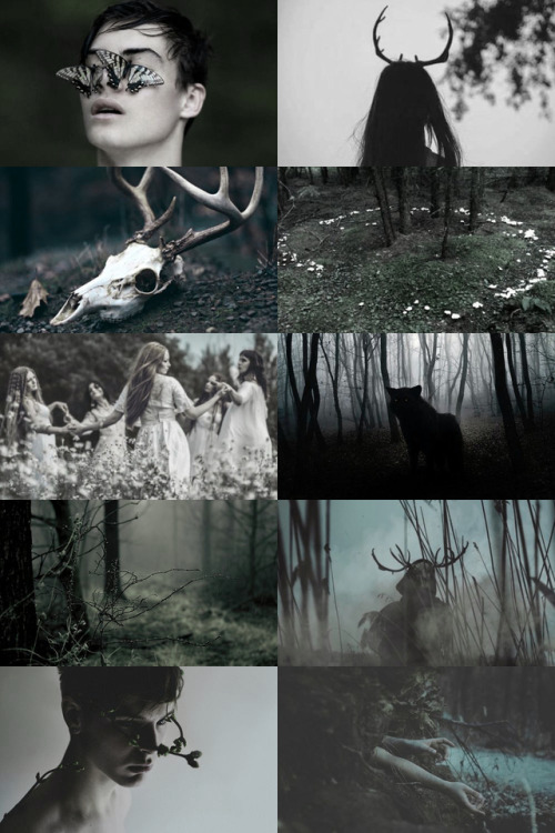 hogwartsattic: Mythology - the unseelie court Consists of darkly-inclined fairies