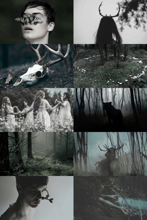 hogwartsattic:Mythology - the unseelie courtConsists of darkly-inclined fairies