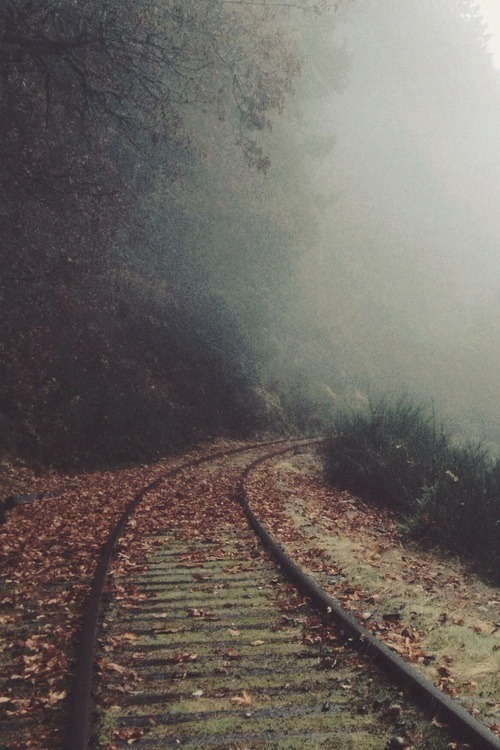 covered-with-mist:  Untitled | via Tumblr on We Heart It.
