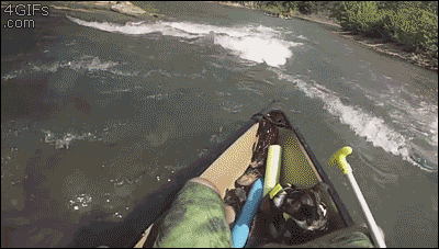 Some really close calls