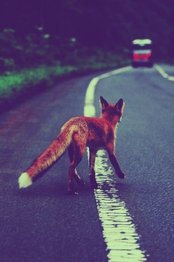 xxx tumblr