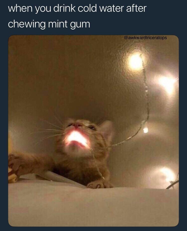 memehumor:  Frozen tundra  Best feeling ever