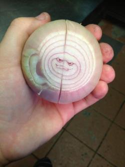 garabot: Today I bought a onion, then someone sent me a pic of an onion (from google) that resembles Pearl.