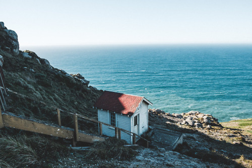 pkatkins:Point Reyes National Seashore