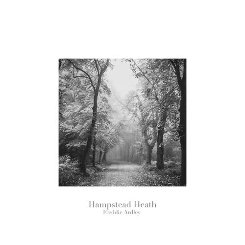 freddieardley: Hampstead Heath Print Collection A selection of fine woodland and rural scenes taken 