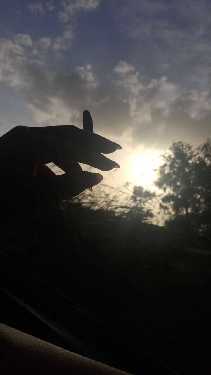 lilnippyy:  blunts at sunset 💚