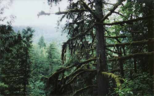 brutalgeneration: (by Robin Mellway)