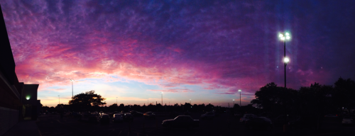 poopflow:  I took these within 10 minutes of each other 